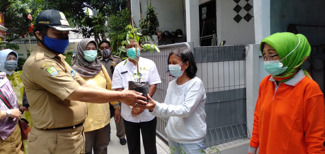 Dorong Ketahanan Pangan Mandiri Kecamatan Karang Tengah Berikan Bantuan Bibit 2