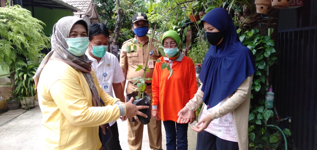 Dorong Ketahanan Pangan Mandiri Kecamatan Karang Tengah Berikan Bantuan Bibit 3