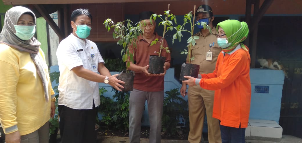 Dorong Ketahanan Pangan Mandiri Kecamatan Karang Tengah Berikan Bantuan Bibit 4