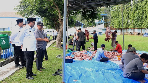Idul Adha 2024 PERUMDAM TKR Menyalurkan Hewan Kurban untuk Masyarakat