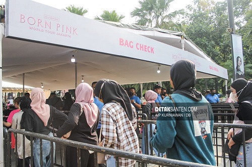Melihat Antusias BLINK untuk Menyaksikan Konser Hari Kedua Blackpink di GBK 2
