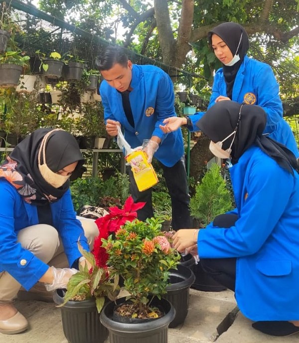 Pengembangan Nilai Ekonomi Kreatif Terhadap Tanaman Hias 2