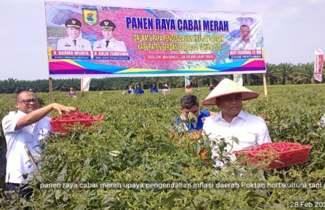 Pilar Utama Program Dambaan Menuju Serdang Bedagai Terus Maju 3