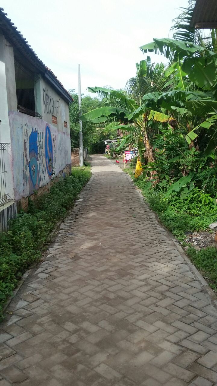 WhatsApp Image 2017 12 20 at 10.48.051