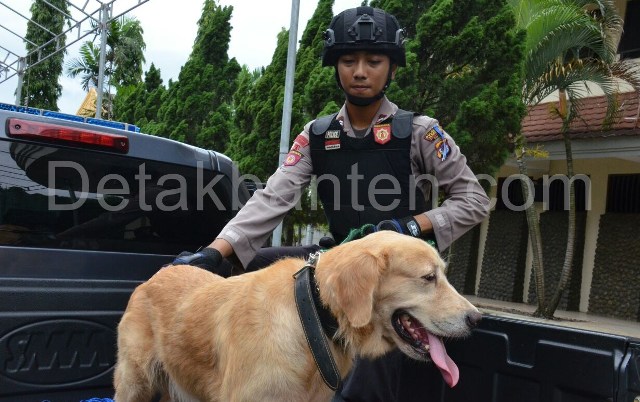 WhatsApp Image 2017 12 21 at 14.52.12