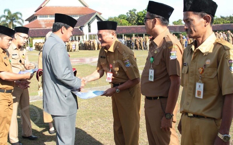 WhatsApp Image 2018 04 12 at 11.45.21