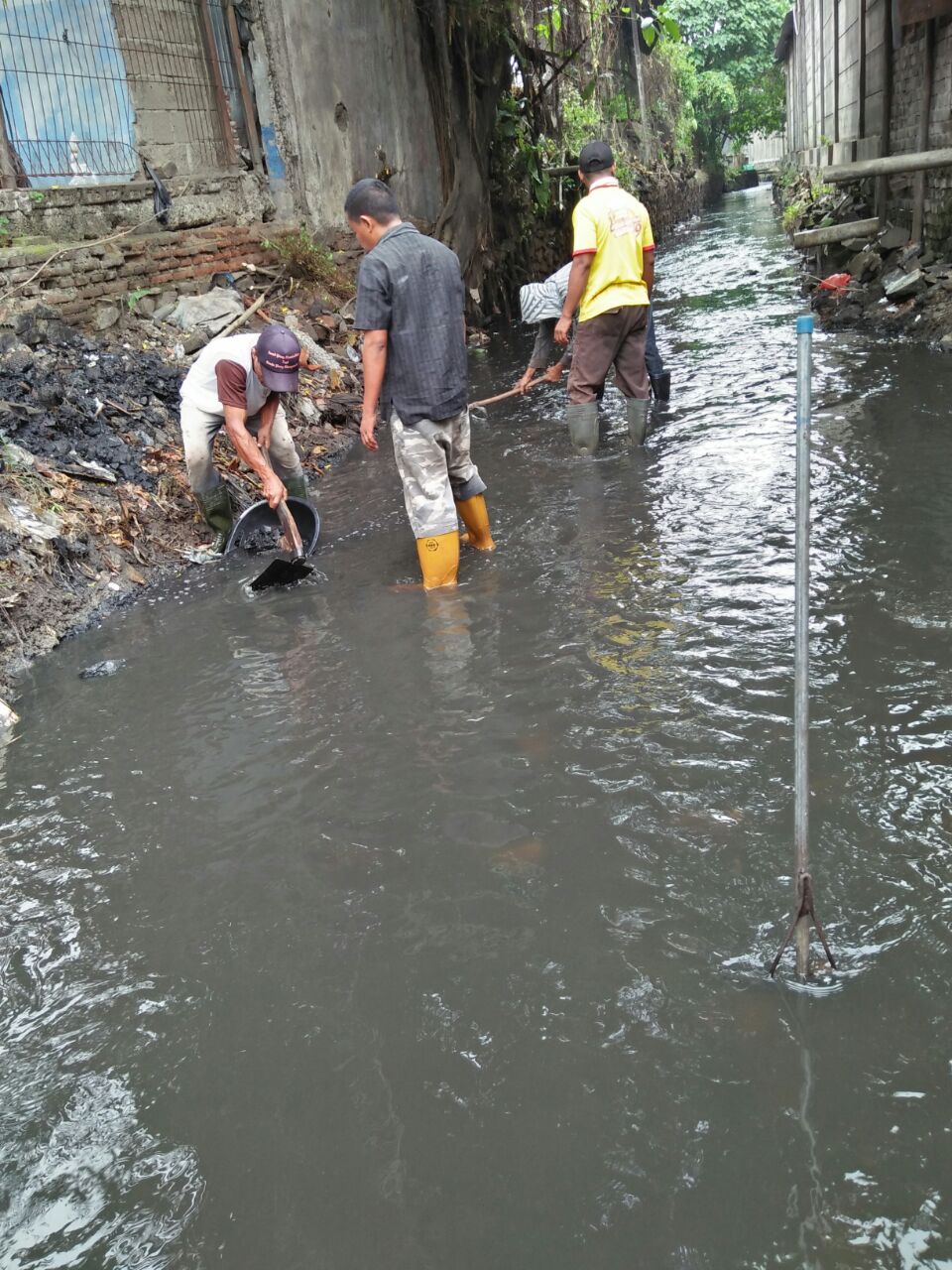 WhatsApp Image 2018 06 08 at 12.54.20