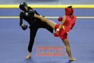 Olahraga Wushu