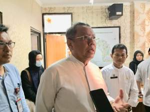 Walikota Tangerang Selatan, Benyamin Davnie