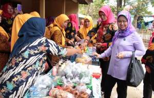 PKK Kabupaten Tangerang Gelar Bina Wilayah