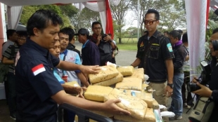 1,04 Ton Ganja Kering DiMusnahkan Di Bandarta Soetta