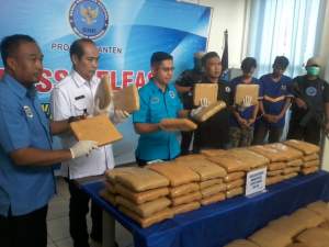 100 Kg Ganja Milik Seorang Narapidana Dalam Lapas Diamanakan BNNP Banten