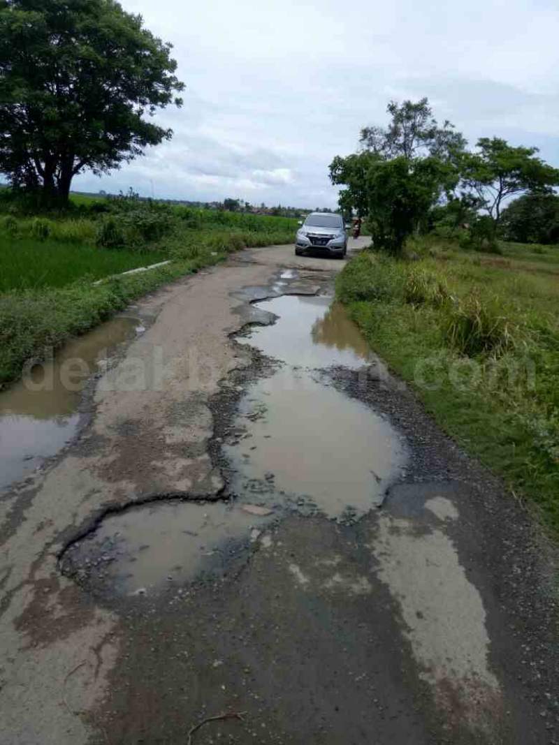 Rusak Parah, Warga Minta Perbaikan Jalan Kedaung