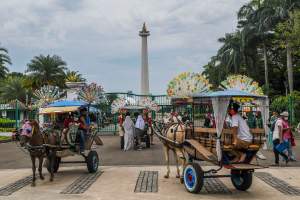 Sejumlah delman sedang mangkal di Kawasan Monas, Gambir, Jakarta Pusat.