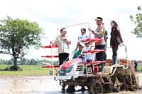 Presiden RI Buka Gerakan Tanam Padi Serentak di 14 Provinsi