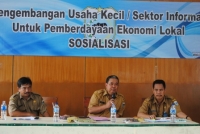 kegiatan sosialisasi pengembangan usaha kecil sektor informal