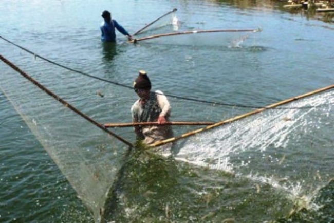 Kelompok Tani Tangerang Masuk 10 Besar Tingkat Nasional