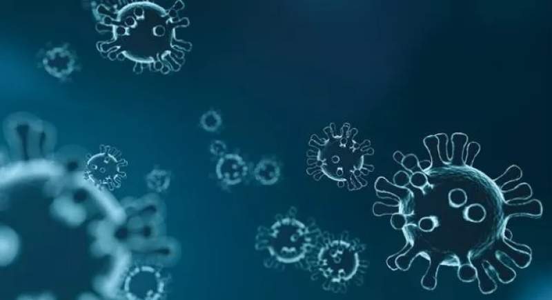 Ilustrasi Virus (pixabay.com)