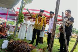  Wakil Bupati Serdang Bedagai, Adlin Tambunan menghadiri acara HUT Desa Suka sari ke 66.