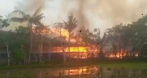 Kandang Ayam di Kresek Hangus Terbakar