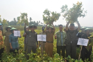 Bupati Sambut Baik Bantuan Kedelai Dari Pemerintah Pusat