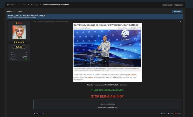 "STOP BEING AN IDIOT," tulis Bjorka. (Aip)