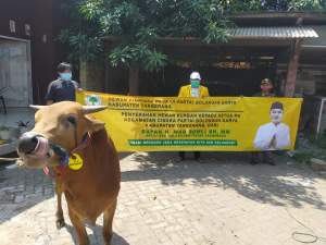 Mad Romli Salurkan 29 Sapi ke Pengurus Golkar Kecamatan