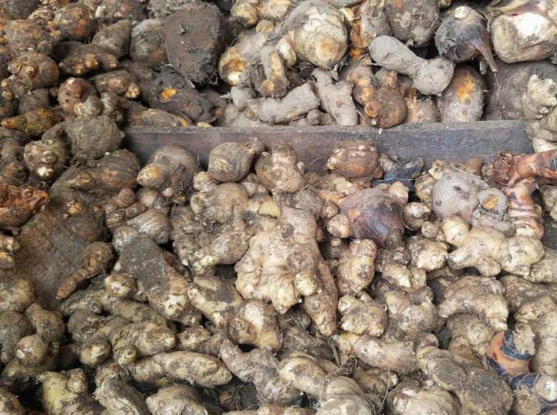 Harga Jahe Di Kota Serang Alami Kenaikan