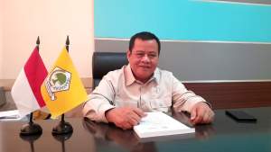 Ketua Harian DPD Partai Golkar Kota Tangsel, Moch. Ramlie.