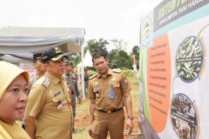 Pj Bupati Tangerang Panen Jagung di Desa Dangdang Cisauk