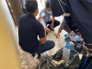 Polda Banten Gagalkan Penyelundupan 12 Ribu Benih Lobster