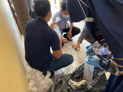 Polda Banten Gagalkan Penyelundupan 12 Ribu Benih Lobster