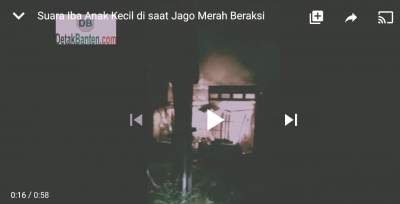 Video Saat Jago Merah Lalap 3 Rumah