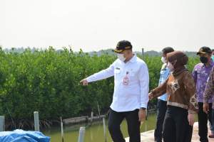 Pembangunan dan Penanganan Kawasan Kumuh di Ketapang Dipuji Bappenas