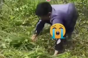 Mengubah Persepsi Ketika Keterbatasan Fisik Tidak Menghalangi Semangat Kerja Keras