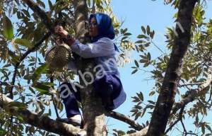 Bupati Lebak Iti Octavia Jayabaya 
