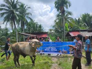 Pelindo TBA Salurkan Program Berbagi Qurban