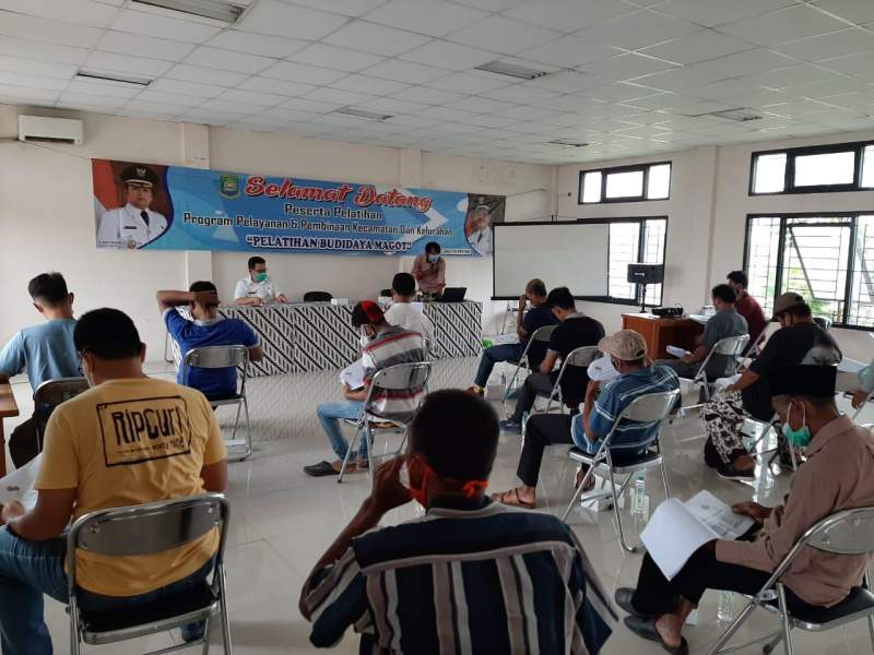 Maggot Jadi Andalan DLH Kota Tangerang Urai Sampah