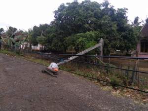 Tiang Listrik Patah Tertimpa Pohon Tumbang