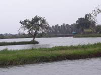 Proyek Megah PIK II, Duka Bagi Warga Teluk Naga