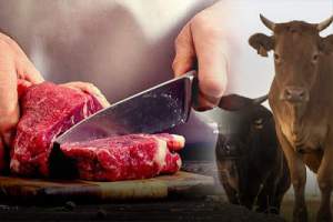 Memotong daging mentah, (Shutterstock/Tatjana Baibakova), Ilustrasi: Aqila/db