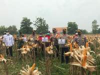 Mad Romli Dampingi Wakapolda Banten Kunjungi Kampung Tangguh