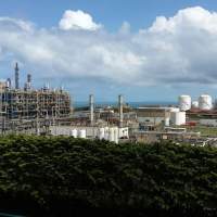 Kontraktor di Chandra Asri Terkonfirmasi Positif Covid-19