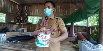 Warga Merak Digegerkan Penemuan Bunga Bangkai