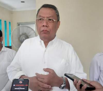 Walikota Tangerang Selatan, Benyamin Davnie