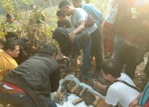 Wow... Petugas Amankan Puluhan Bal Ganja Dalam Lubang Sepiteng