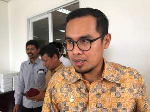 Wakil Walikota Tangsel, Pilar Saga Ichsan