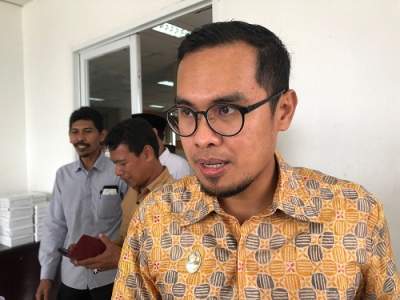 Wakil Walikota Tangsel, Pilar Saga Ichsan