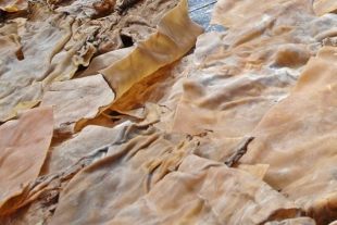 Home Industri Kikil di Grebek Polres Metro Tangerang