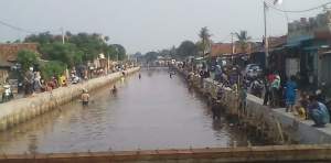 Jadi Tontonan, Sejumlah Warga di Sekitar Kali Pondok Jaya Berburu Ikan Mabuk